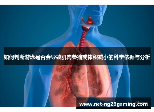 如何判断游泳是否会导致肌肉萎缩或体积减小的科学依据与分析