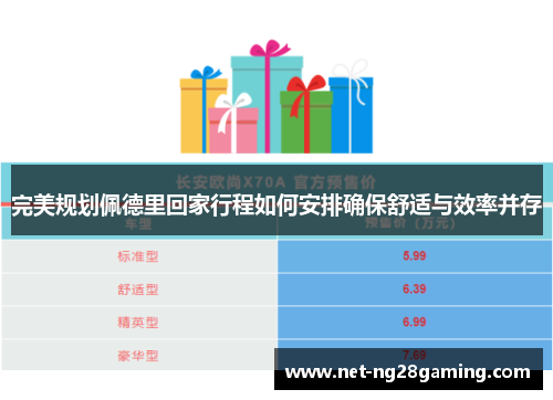 完美规划佩德里回家行程如何安排确保舒适与效率并存