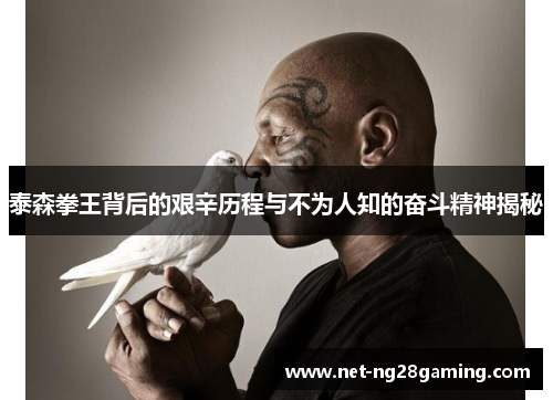 泰森拳王背后的艰辛历程与不为人知的奋斗精神揭秘