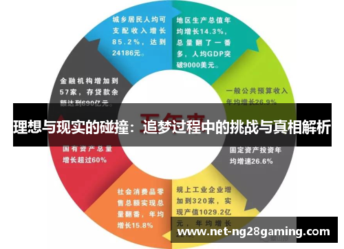 理想与现实的碰撞：追梦过程中的挑战与真相解析