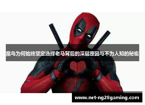 魔鸟为何始终坚定选择老马背后的深层原因与不为人知的秘密